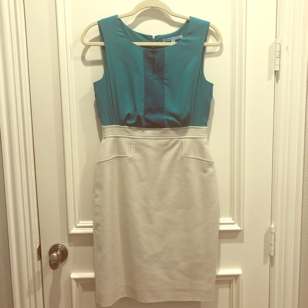 Antonio Melani dress